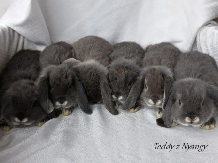 Vrh I28 - VOLNÍ 3 KLUCI A 1 HOLČIČKA K REZERVACÍM !!!